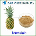 Enzym Bromelain / Bromelain 2400GDU / g / Bromelain